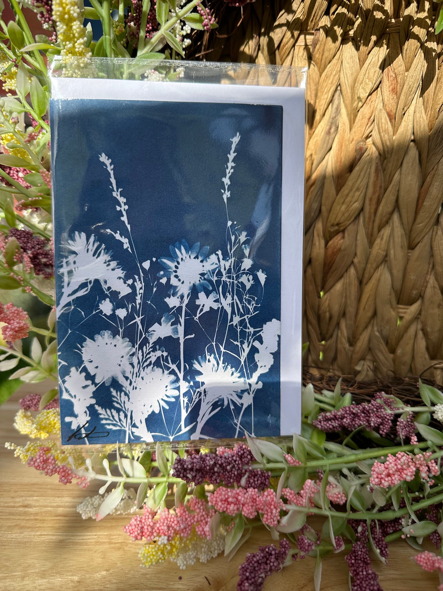 Full Cyanotype Print Cards – Botanical Originals