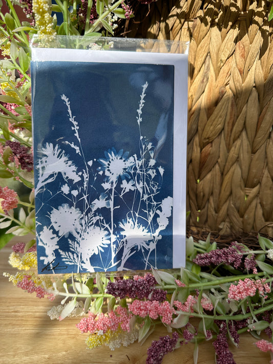 Full Cyanotype Print Cards – Botanical Originals