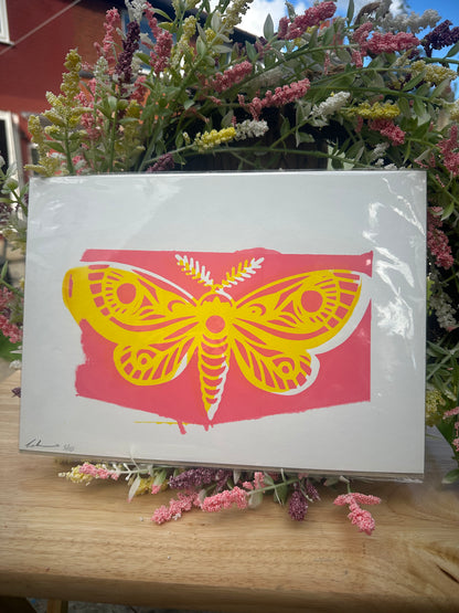 Misprint - Moth Screenprint