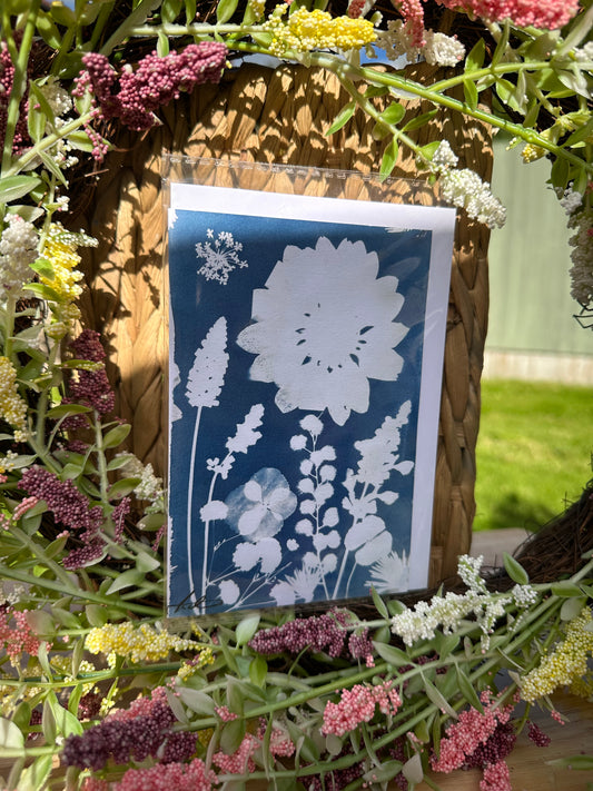 Full Cyanotype Print Cards – Botanical Originals