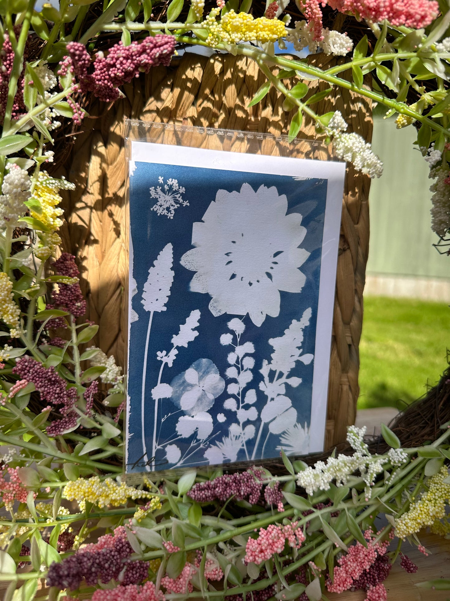 Full Cyanotype Print Cards – Botanical Originals