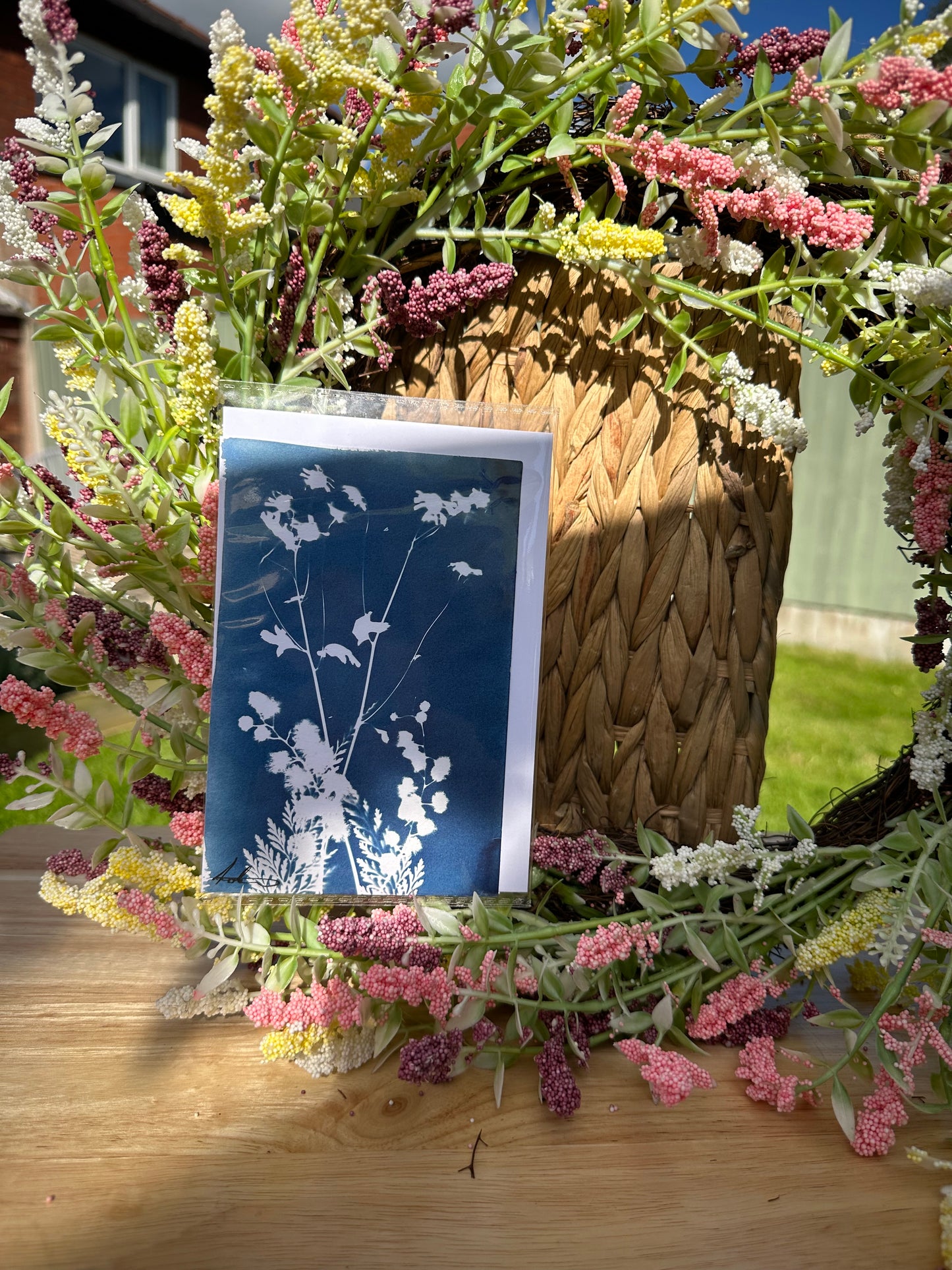 Full Cyanotype Print Cards – Botanical Originals