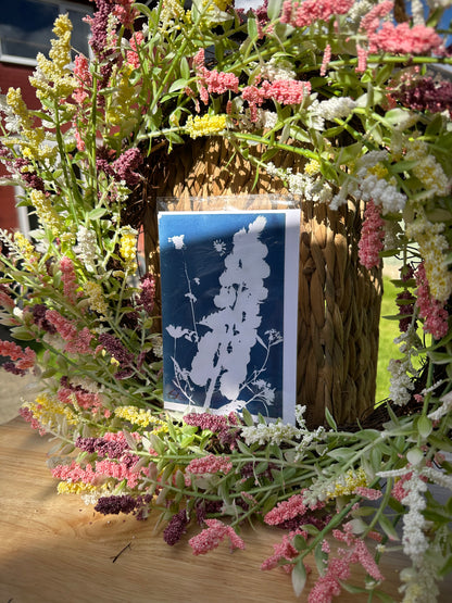 Full Cyanotype Print Cards – Botanical Originals