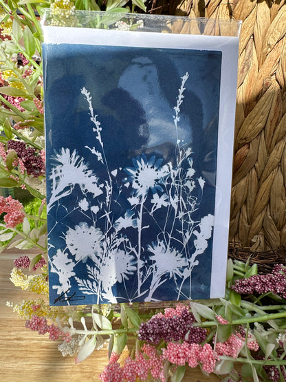 Full Cyanotype Print Cards – Botanical Originals
