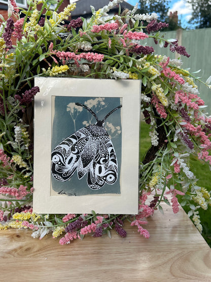 Original Cyanotype With Painted Moth