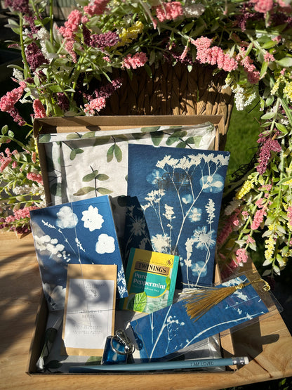 Cyanotype Gift Box (p)